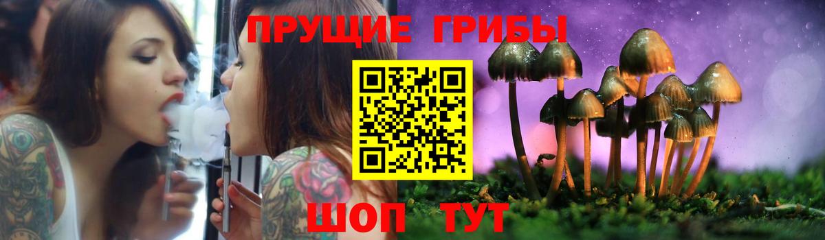 наркошоп  Псилоцибиновые грибы ЛСД  Вход с VPN  Курчалой 